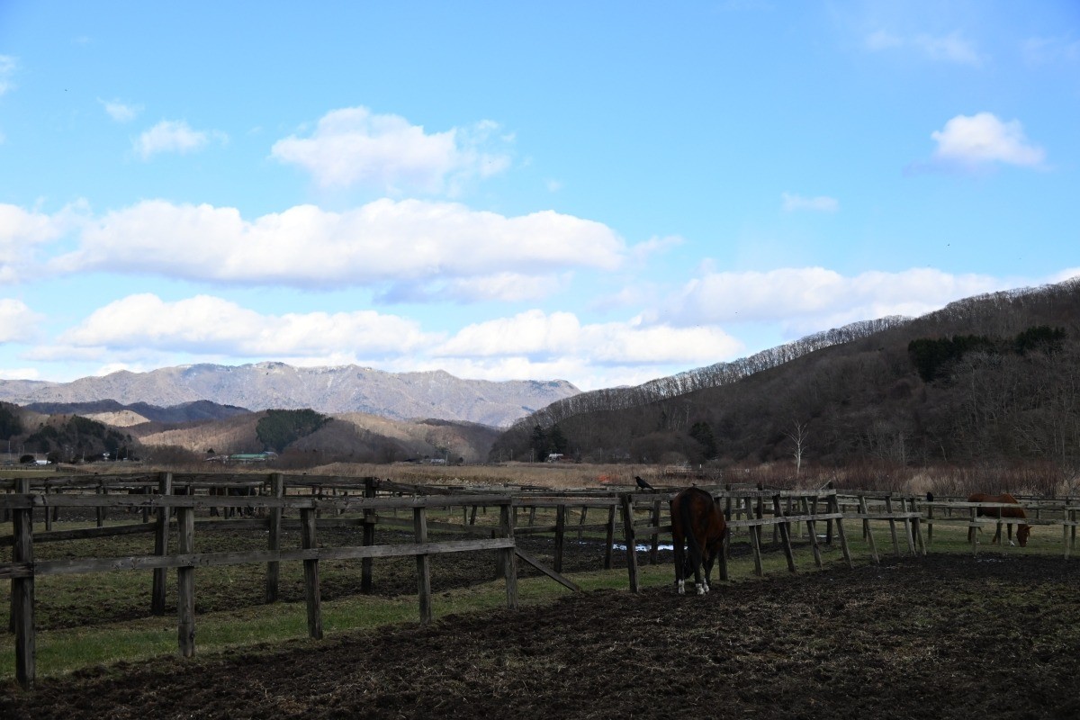 ecf443537158f100b59139444230d5ee-1765824569.jpg ecf443537158f100b59139444230d5ee-1765824569.jpg